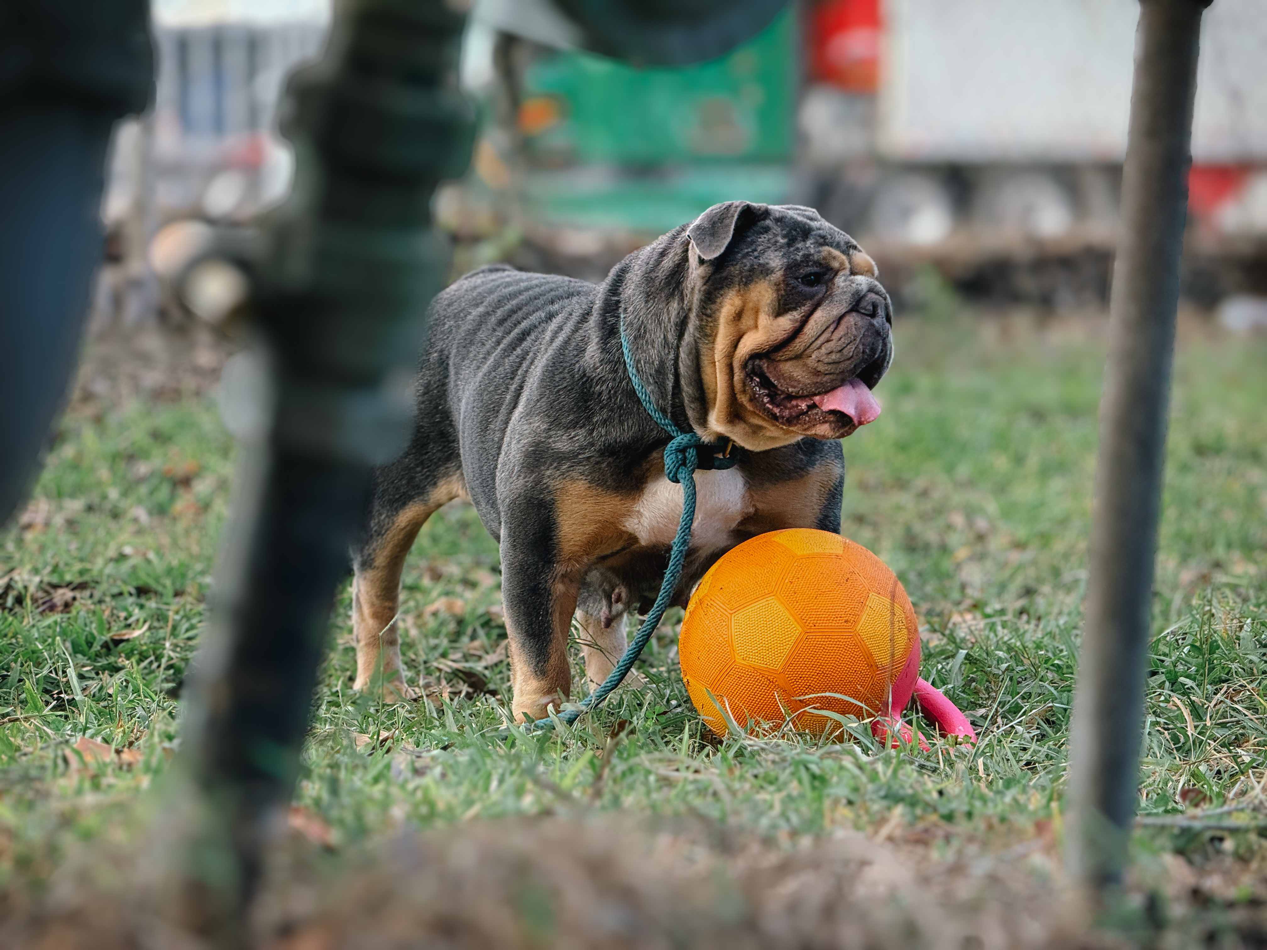 PhatMa - Blue Tri Foundation Dam