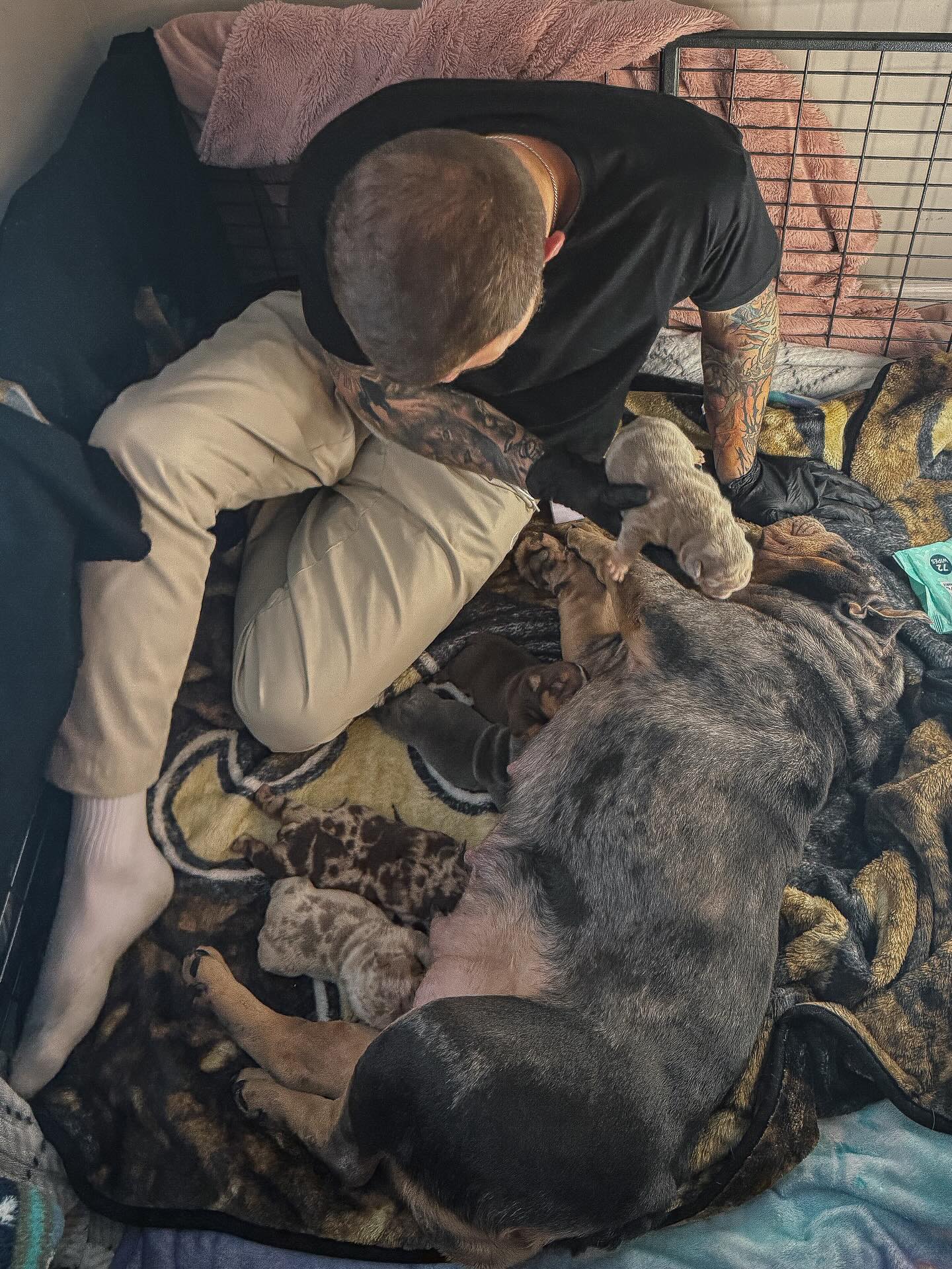 Instagram post from Godspeed Bulldogs